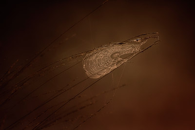 BUITEN BEELD Foto: 58055