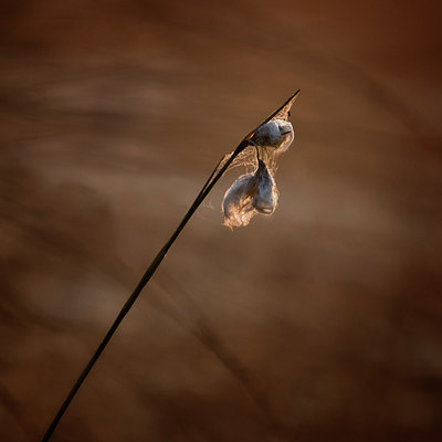 BUITEN BEELD Foto: 58057