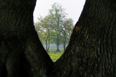 BUITEN BEELD Foto: 58064