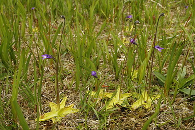 BUITEN BEELD Foto: 58066