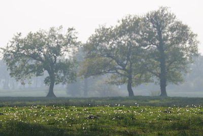 BUITEN BEELD Foto: 58067