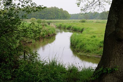 BUITEN BEELD Foto: 58085