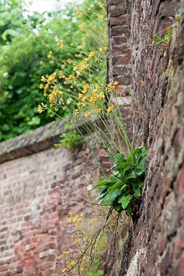 BUITEN BEELD Foto: 58096