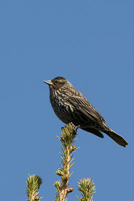 BUITEN BEELD Foto: 58102