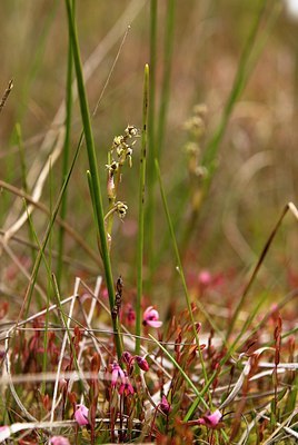 BUITEN BEELD Foto: 58140