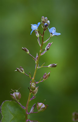 BUITEN BEELD Foto: 58189