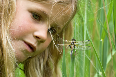 BUITEN BEELD Foto: 58210