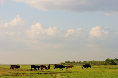 BUITEN BEELD Foto: 58223