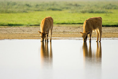 BUITEN BEELD Foto: 58233
