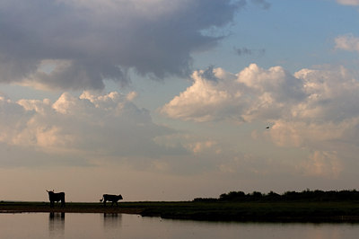 BUITEN BEELD Foto: 58234