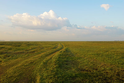 BUITEN BEELD Foto: 58237
