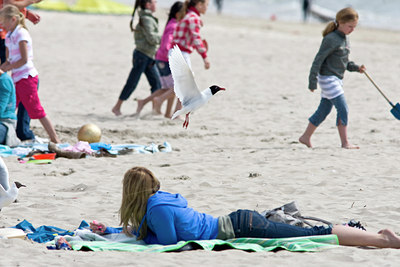 BUITEN BEELD Foto: 58258