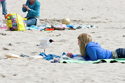 BUITEN BEELD Foto: 58259