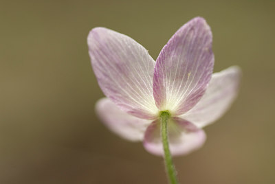 BUITEN BEELD Foto: 58317