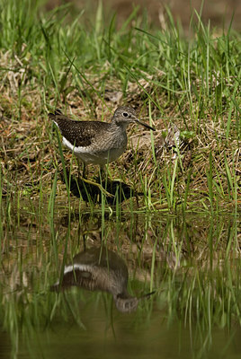 BUITEN BEELD Foto: 58319