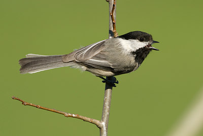 BUITEN BEELD Foto: 58321