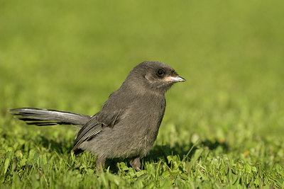 BUITEN BEELD Foto: 58325