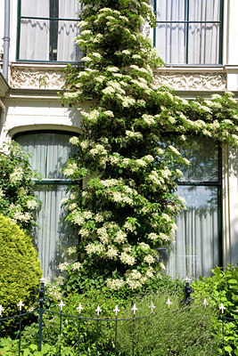 BUITEN BEELD Foto: 58331