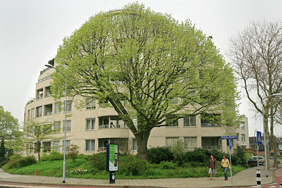 BUITEN BEELD Foto: 58335