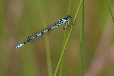 BUITEN BEELD Foto: 58337