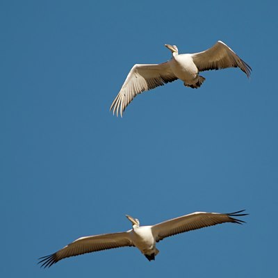 BUITEN BEELD Foto: 58380