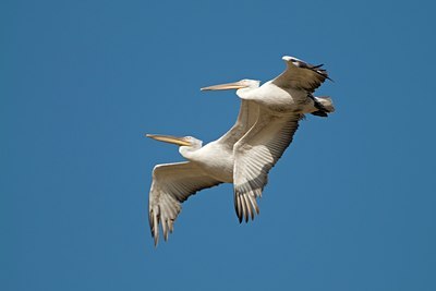 BUITEN BEELD Foto: 58385