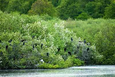 BUITEN BEELD Foto: 58430