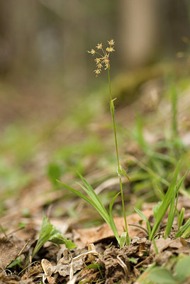 BUITEN BEELD Foto: 58436