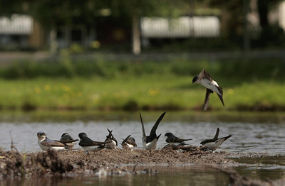 BUITEN BEELD Foto: 58466