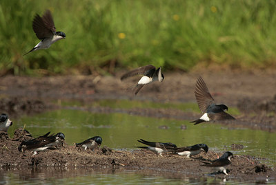 BUITEN BEELD Foto: 58472