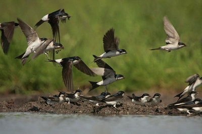 BUITEN BEELD Foto: 58492