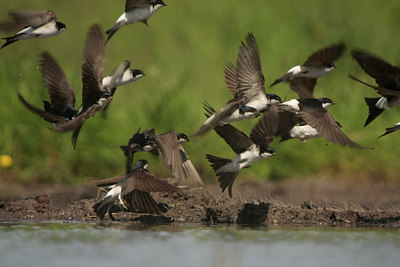 BUITEN BEELD Foto: 58494