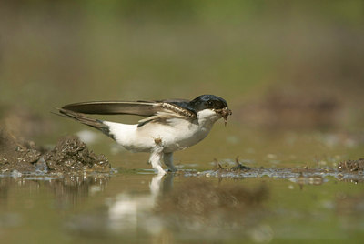 BUITEN BEELD Foto: 58497