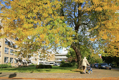 BUITEN BEELD Foto: 58500