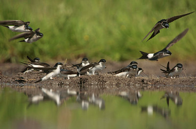 BUITEN BEELD Foto: 58505