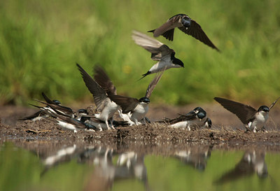 BUITEN BEELD Foto: 58506