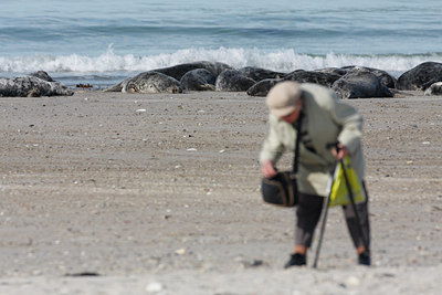 BUITEN BEELD Foto: 58541
