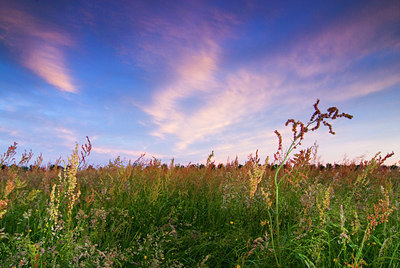 BUITEN BEELD Foto: 58616