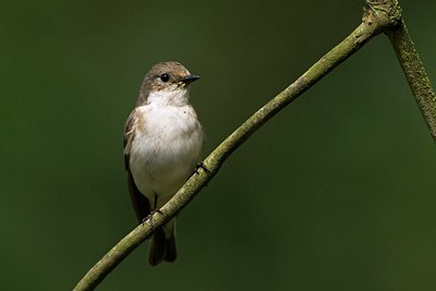 BUITEN BEELD Foto: 58622