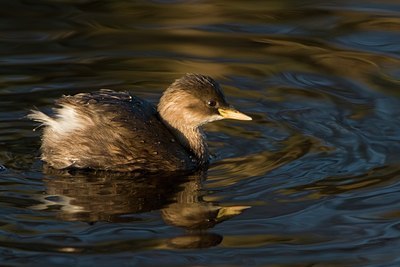 BUITEN BEELD Foto: 58623