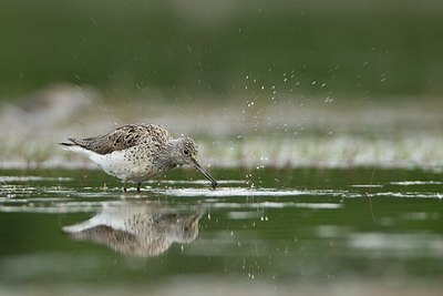 BUITEN BEELD Foto: 58656