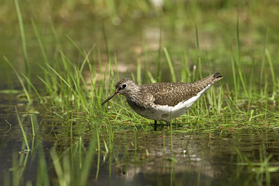 BUITEN BEELD Foto: 58716