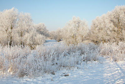 BUITEN BEELD Foto: 58719