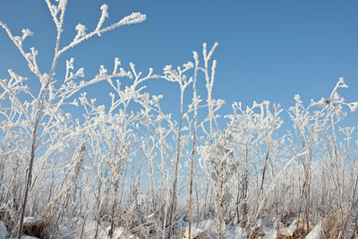 BUITEN BEELD Foto: 58723
