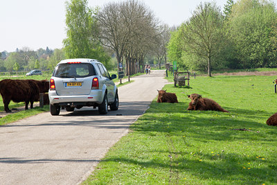 BUITEN BEELD Foto: 58731