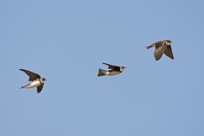BUITEN BEELD Foto: 58753