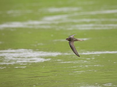 BUITEN BEELD Foto: 58763