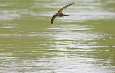 BUITEN BEELD Foto: 58764