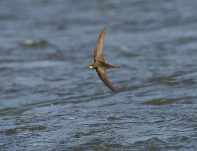 BUITEN BEELD Foto: 58769