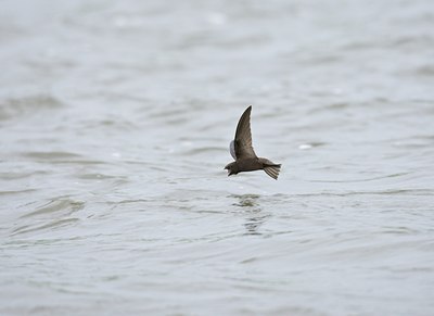 BUITEN BEELD Foto: 58771